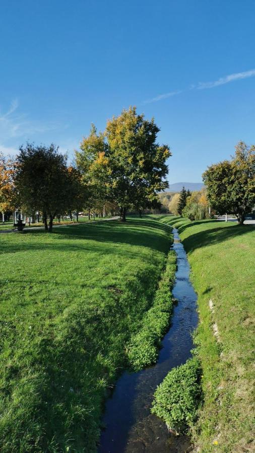 Astarea - Luxe Penthouse In Nature - Jacuzzi - Free Private Parking - Terrace & Balcony - Peace Zagreb Exteriör bild